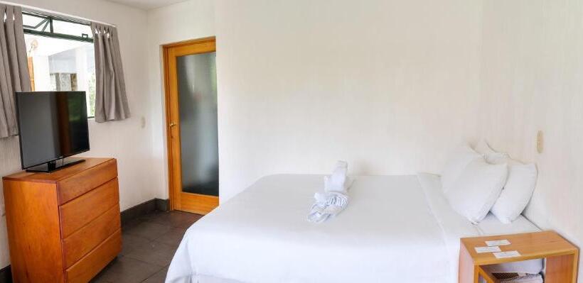 اتاق استاندارد, El Dragon