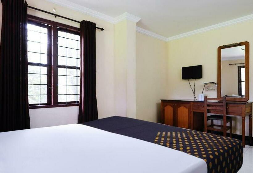 トリプルクラシックルーム, Spot On Sahari