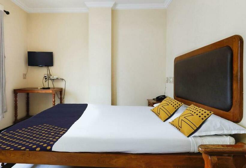 トリプルクラシックルーム, Spot On Sahari