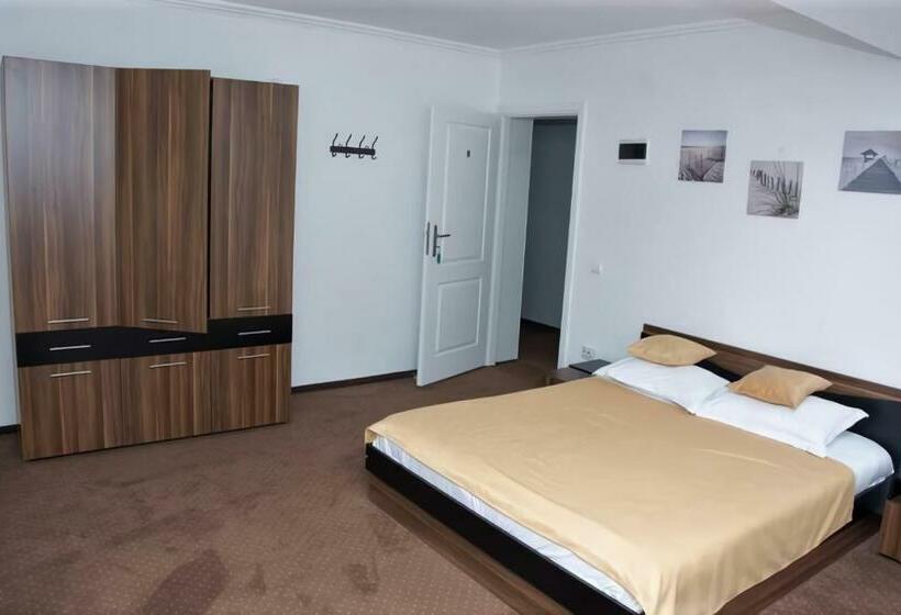 스탠다드 룸 킹사이즈 침대, Motel Potcoava De Aur