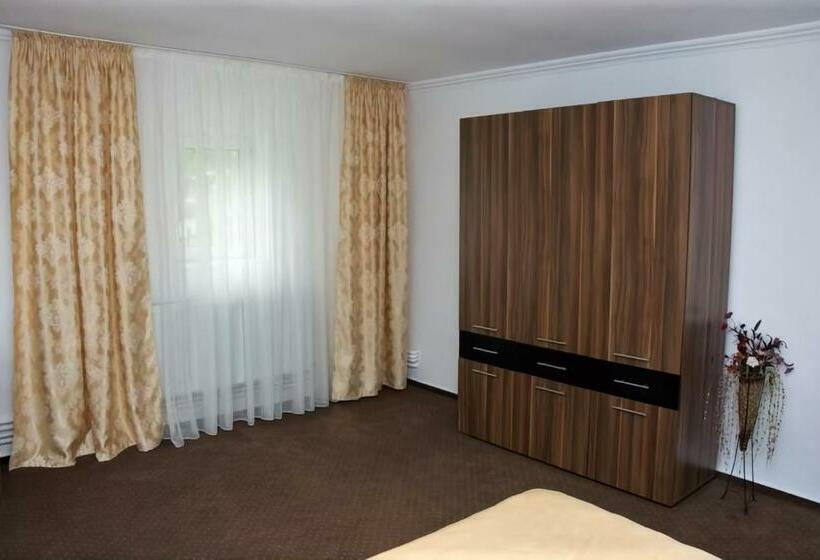 Стандартный Номер Кровать Кинг, Motel Potcoava De Aur