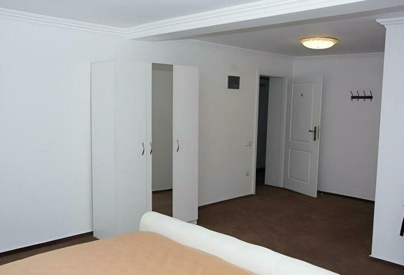 Номер Superior Кровать Кинг, Motel Potcoava De Aur