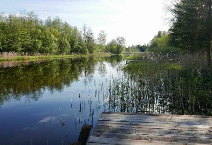 خانه 1 خوابه, Allika Löövi Sauna Cabin