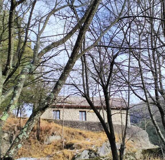 Номер Стандарт, Refugi Quatre Cases