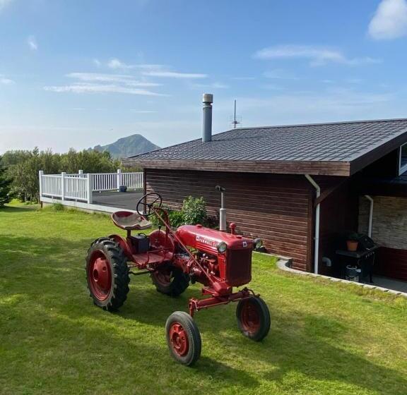 اتاق لوکس, Dimon