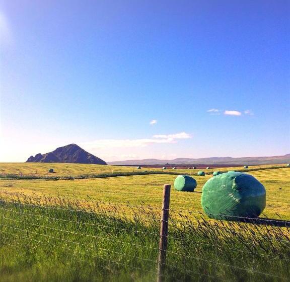 اتاق اکونومی, Dimon