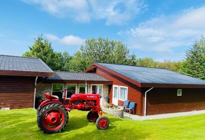 اتاق اکونومی, Dimon