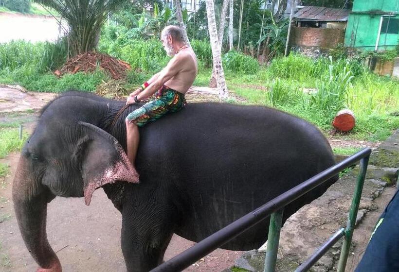 デラックスルーム, Sea Bay Resort