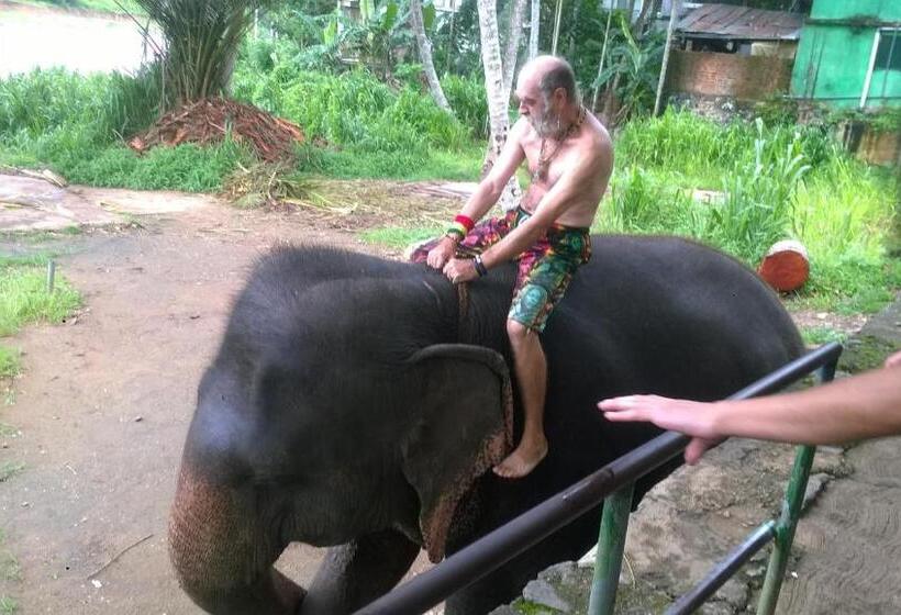 デラックスルーム, Sea Bay Resort