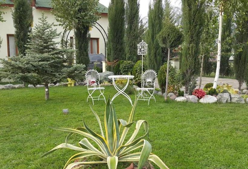 اتاق استاندارد, Emocia