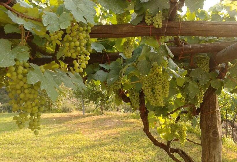 2间卧室的房子, Agriturismo Il Giglio E La Rosa