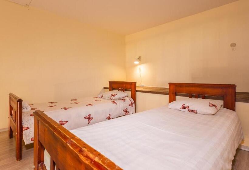 اتاق استاندارد, Ruunawere