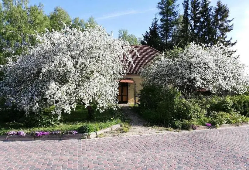سوییت جونیور, Ruunawere