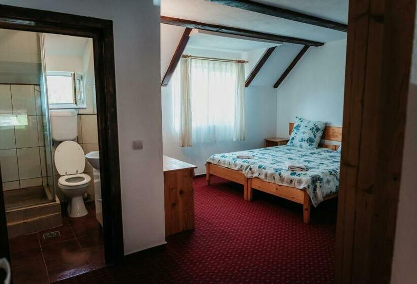 חדר סטנדרט לשלושה, Moara De Piatra