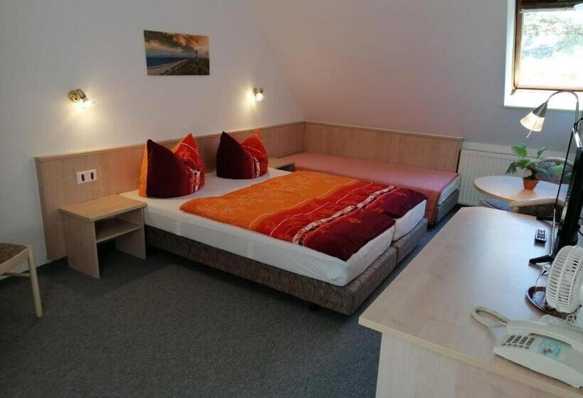 Номер Стандарт, Pension Schwalbennest