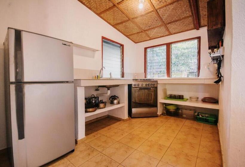 1 Bedroom Duplex Apartment, Ralph S Place