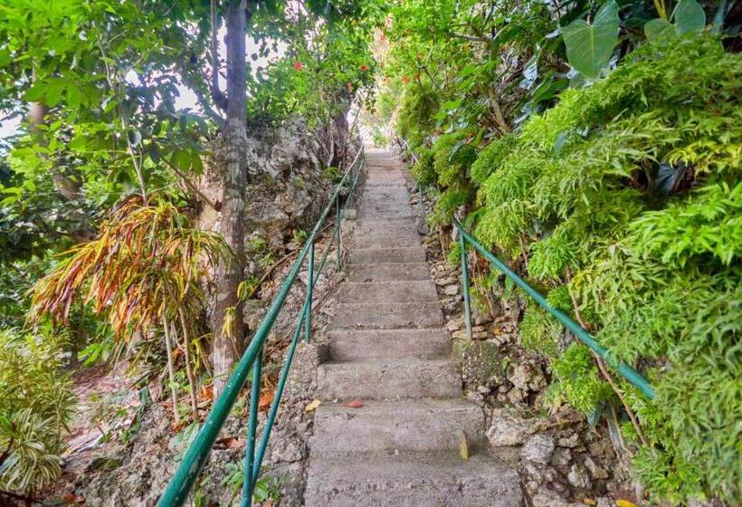 2 Bedroom Apartment, Ralph S Place