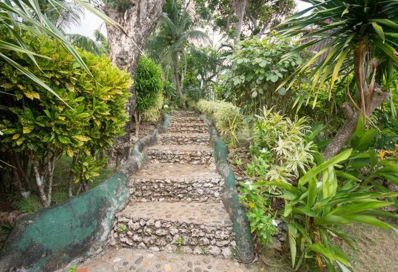 1 Bedroom House, Ralph S Place