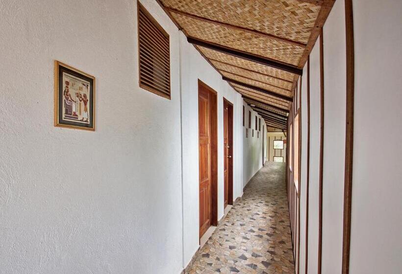 Superior Room, Ralph S Place