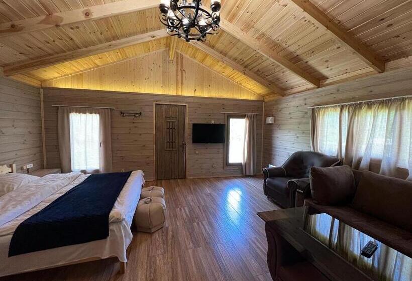 اتاق لوکس, гостевой дом Dilart