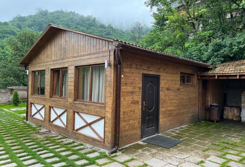 اتاق استاندارد با چشم‌انداز پارک, гостевой дом Dilart