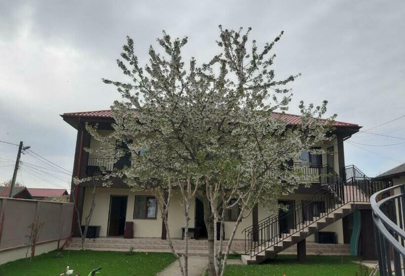 اتاق استاندارد سه نفره, La Babusca