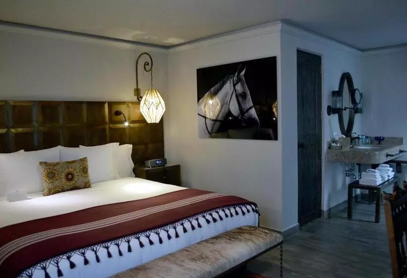 Standard-studio, Casa 1810 Hotel Boutique