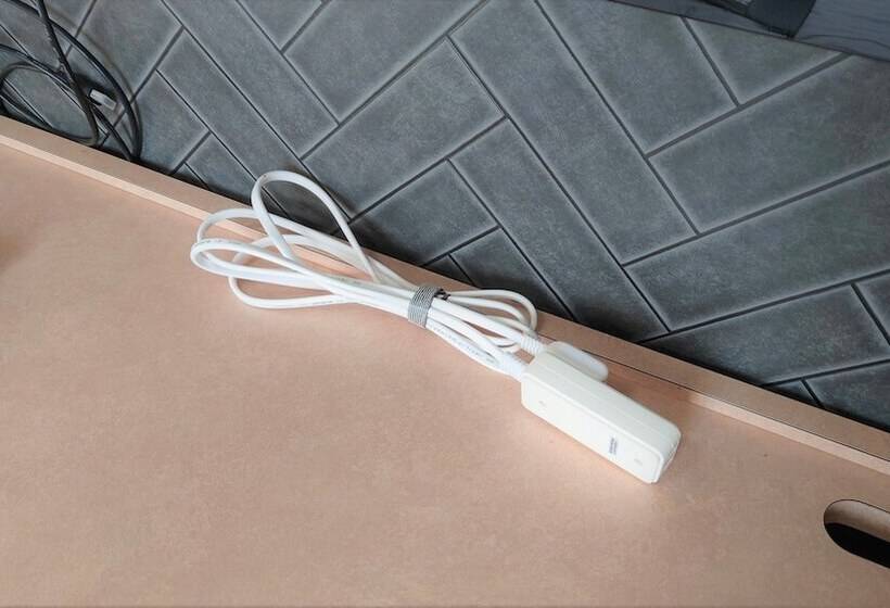 스탠다드 트리플 룸, Areaone Oita