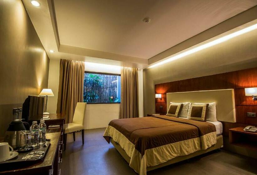 豪华房间, Ariana