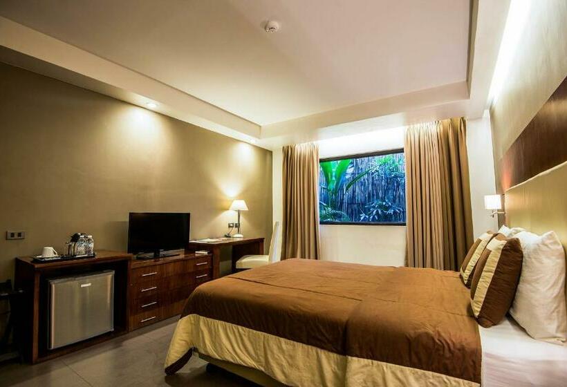 豪华房间, Ariana