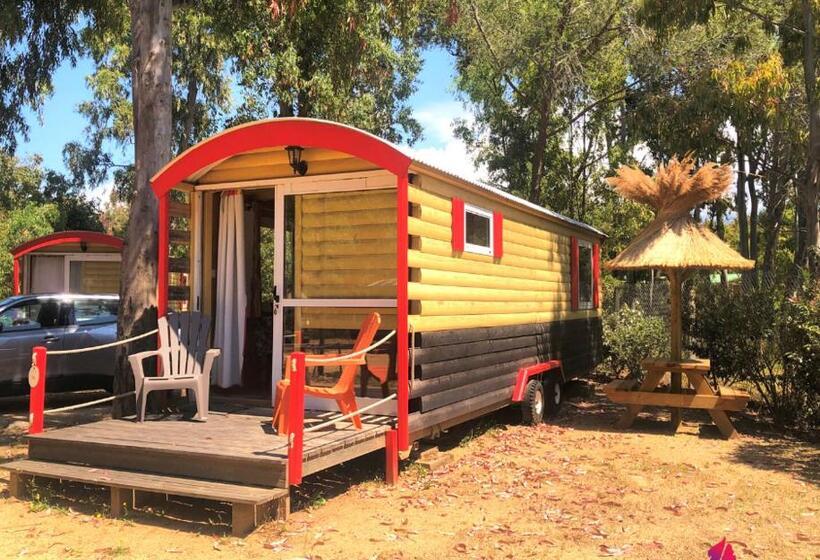 اتاق استاندارد, Camping La Pinede