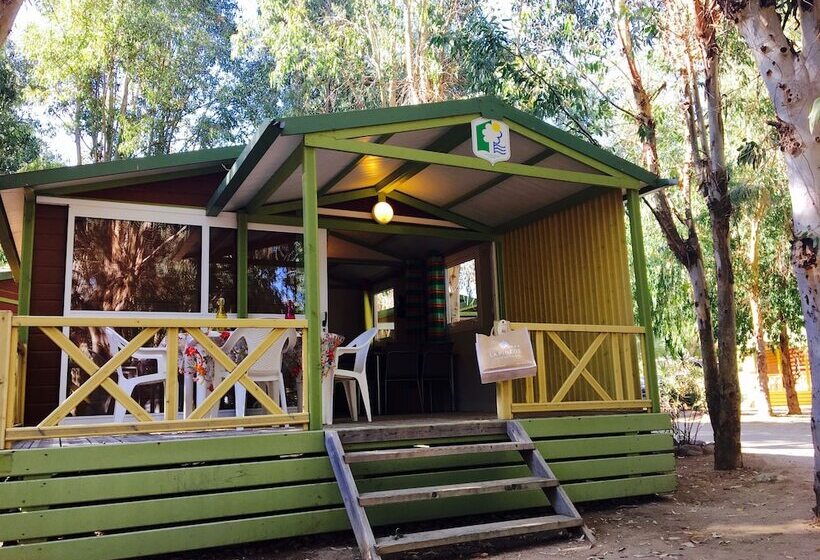 Шале 1 Спальня, Camping La Pinede