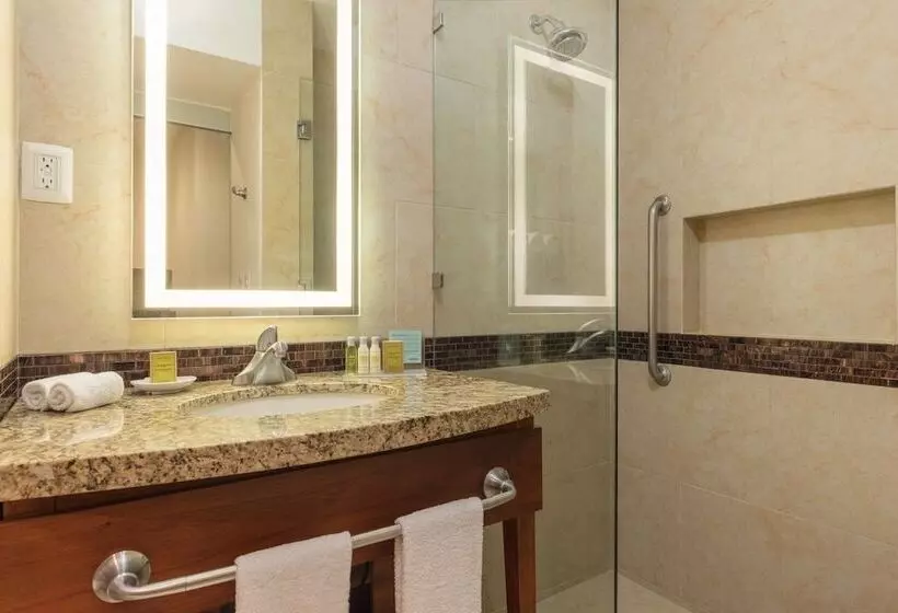 ダブルベッドスタンダードルーム, Hampton Inn & Suites By Hilton Los Cabos