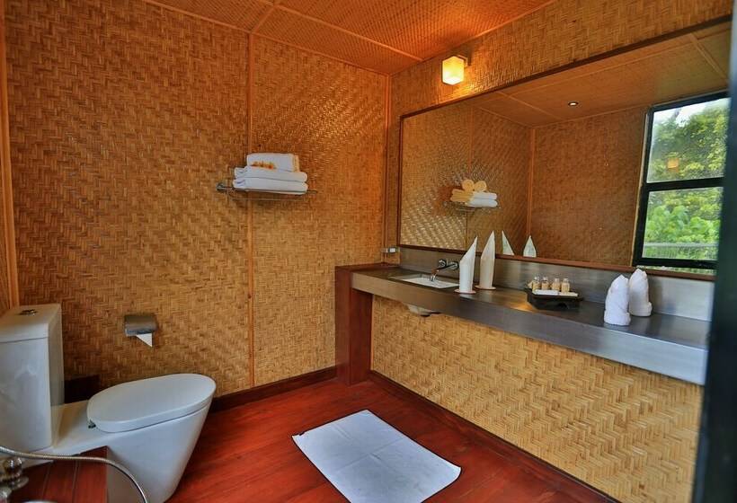 一居室豪华别墅, The Rainforest Ecolodge