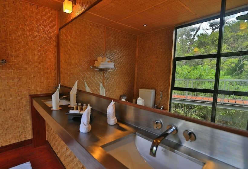 شاليه ديلوكس غرفة نوم واحدة, The Rainforest Ecolodge