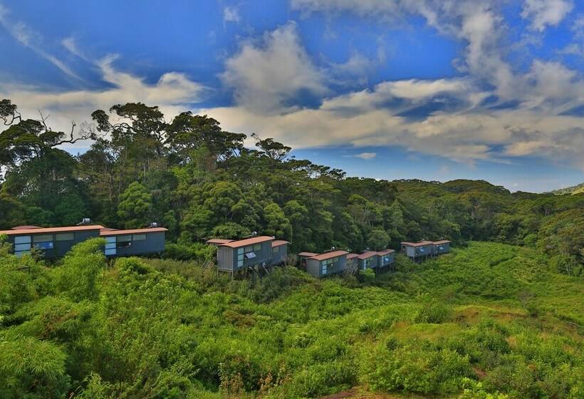 一居室豪华别墅, The Rainforest Ecolodge
