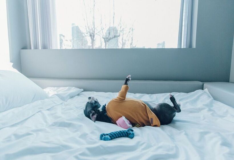 Quarto Estandar, Cappuccino