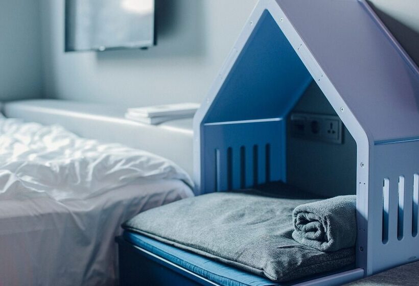 Quarto Estandar, Cappuccino