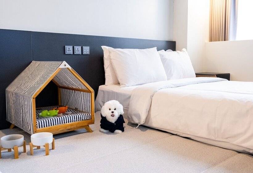 Quarto Estandar, Cappuccino