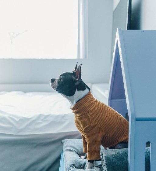 Quarto Estandar, Cappuccino