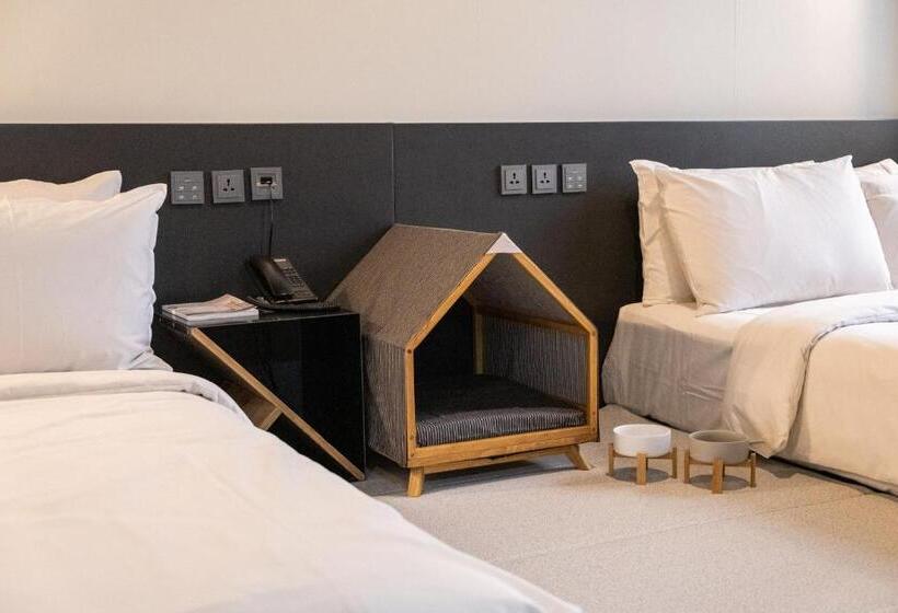 Quarto Estandar, Cappuccino