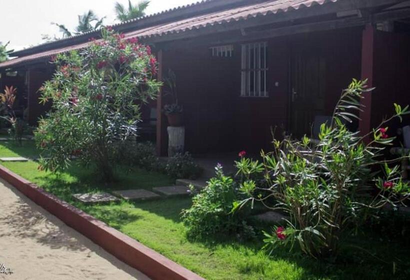 اتاق خانوادگی, Robinson Plage