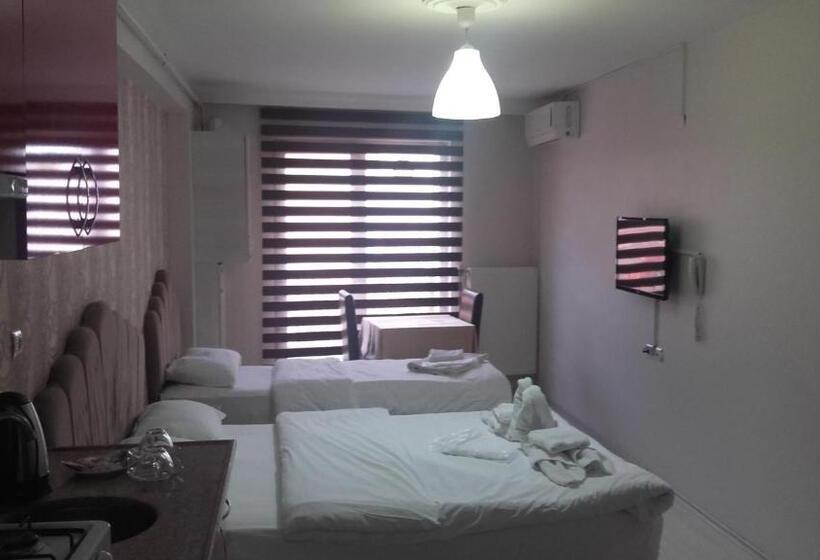 标准工作室, Selimiye