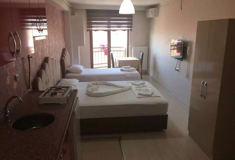 Estudio Estàndard, Selimiye