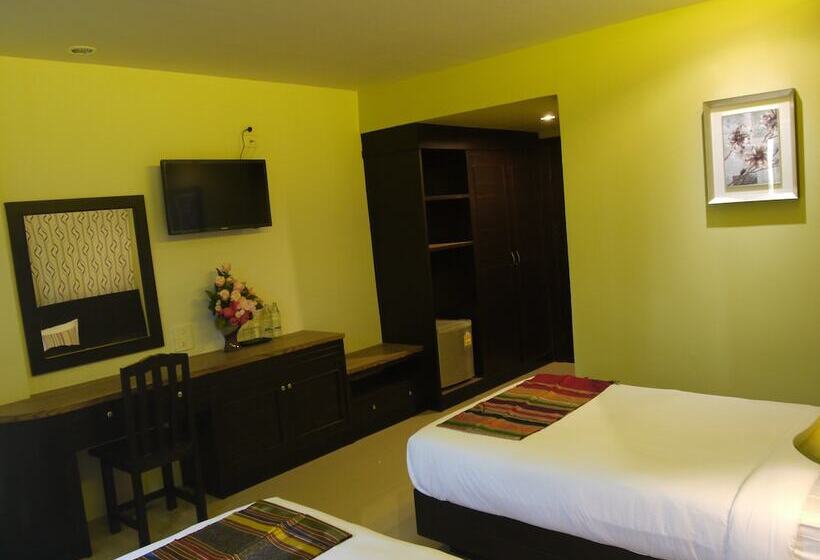 스탠다드 룸, P1 House