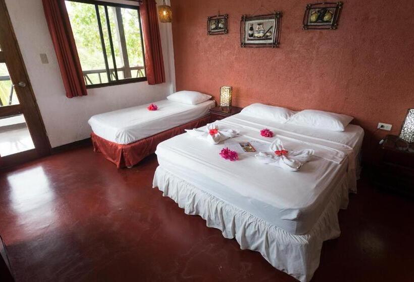 스탠다드 룸, Discovery Island Resort