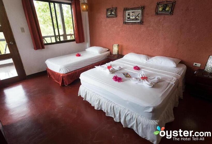 스탠다드 룸, Discovery Island Resort