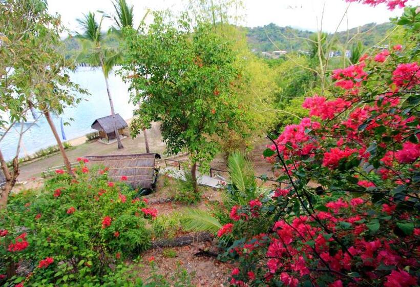 스탠다드 룸, Discovery Island Resort