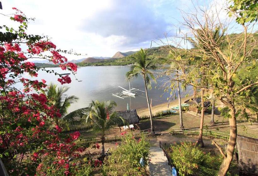 스탠다드 룸, Discovery Island Resort