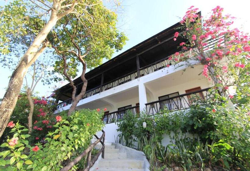 스탠다드 룸, Discovery Island Resort